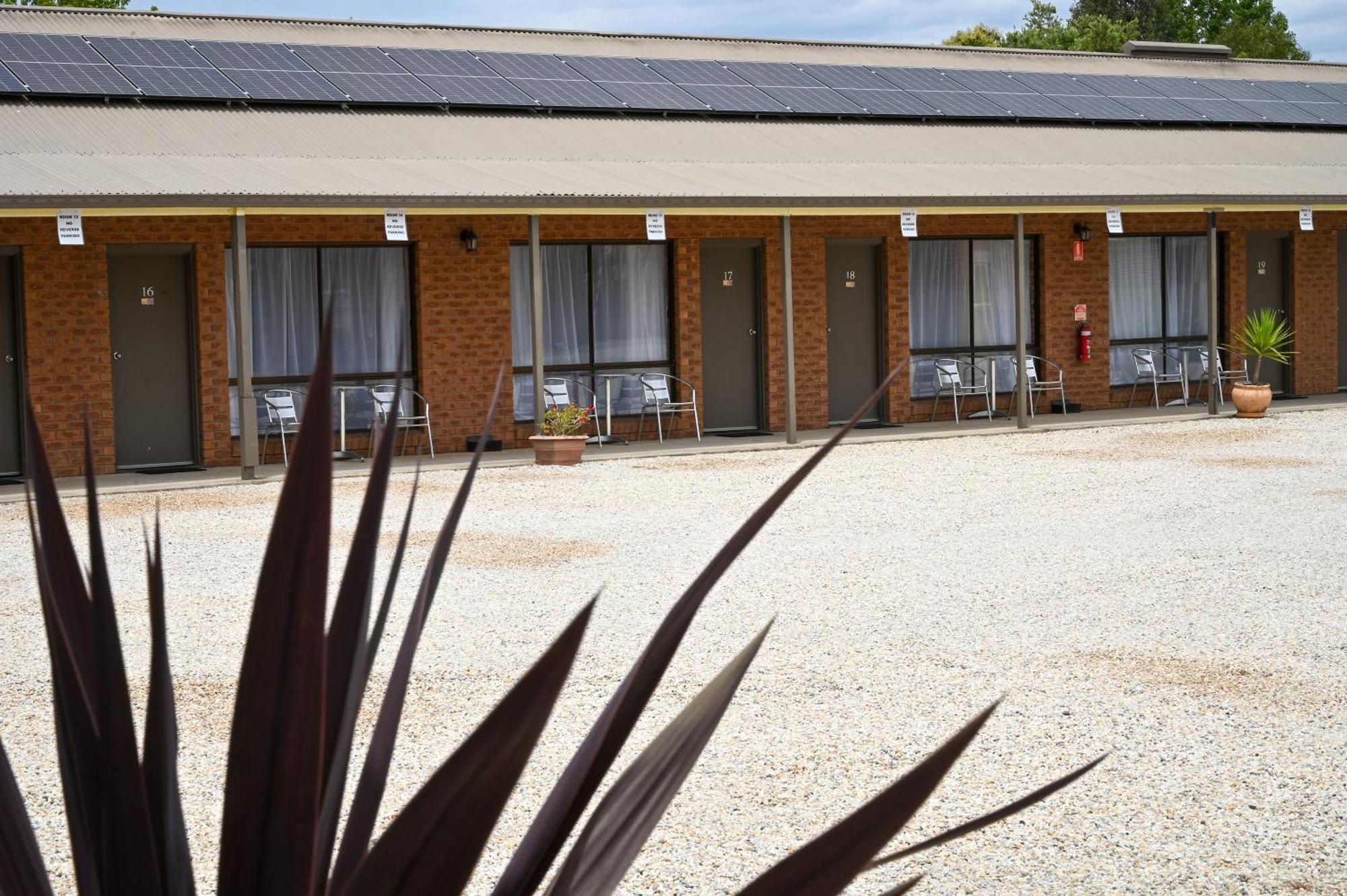 Holbrook Town Centre Motor Inn Extérieur photo